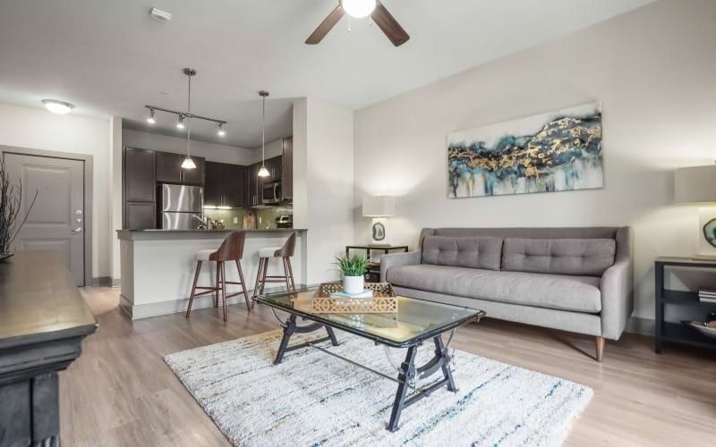 Apartment Features